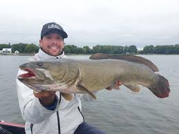 Image result for Amia calva