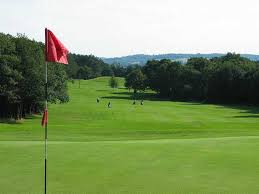 Image result for Leatherhead Golf Club
