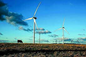 Image result for Windmill Bowling Club