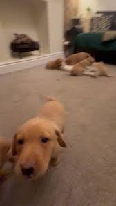 Image result for Farnley Tyas  BC