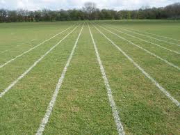 Image result for example