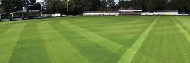 Image result for Kidsgrove Cricket Club