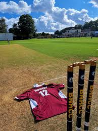 Image result for Basingstoke & North Hants Cricket Club
