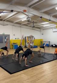 Image result for West Lothian Artistic Gymnastic Club