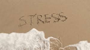 Image result for 1033128377