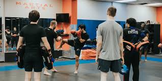 Image result for Pyramid martial arts