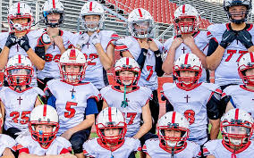 Image result for Comets Junior Badminton Club