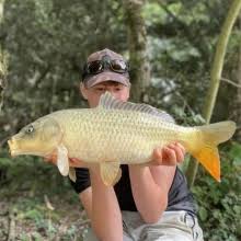 Image result for Bathampton Angling Association