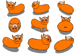 Image result for 這是什麼鬼