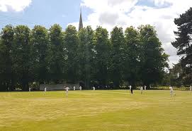 Image result for Buxted Park Cricket Club