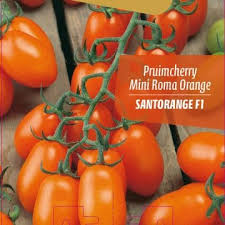 Afbeeldingsresultaat voor oranje van goeienbier tomato