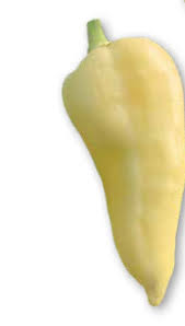 Afbeeldingsresultaat voor hungarian sweet white sweet pepper