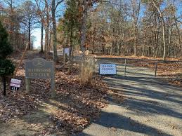 Image result for Property Gun and Punt Club