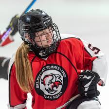 Image result for Basingstoke Bison Ice Hockey Club