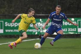 Image result for Caernarfon Football Club