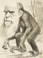 Darwinism - Wikipedia, the free encyclopedia