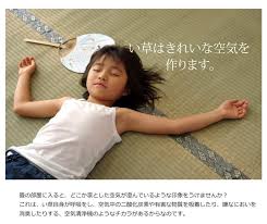 「湯沢洋行」の画像検索結果