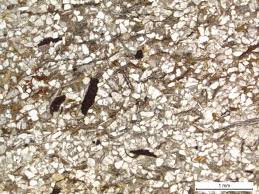 Image result for Universal Martial Arts (Chelmarsh with Neil Morris)