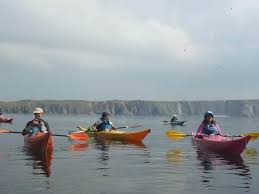Image result for Hastings Canoe Club