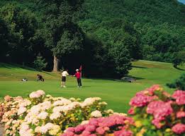 Image result for Abergele Golf Club
