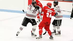 Image result for Pontypool Skater Hockey Club