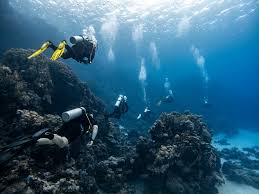 Image result for Underwater Adventures