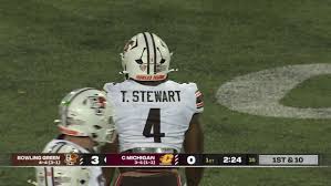 Image result for stehr tehron