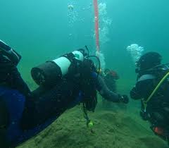 Image result for Barnsley BSAC Divers