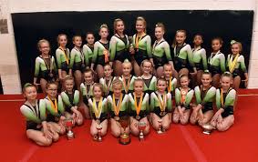Image result for Holbeach and Fenland Gymnastics Club