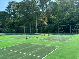 Image result for Dorset Pickleball Club