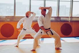 Image result for Katakuri Karate