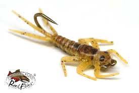 Attēlu rezultāti vaicājumam “nymph”