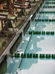 Image result for 1066 Swimmers