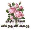 موسوعة بسم الله الرحمن الرحيم Images?q=tbn:ANd9GcTQfgJ-BljVdmDrLfMs03kNKPqtJULADs3JcGzDhEPpRCQUHHnwILu7Xg