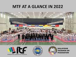 Image result for Synergy Tae Kwon Do