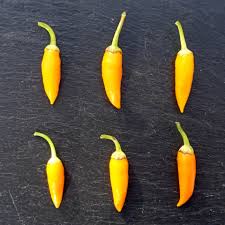 Afbeeldingsresultaat voor thai yellow hot pepper