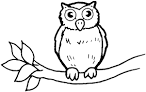 Owl coloring page