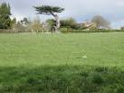 near to Kimpton, Hertfordshire, Great Britain. The Hoo, not the Who - via Daymix