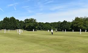 Image result for Ivybridge Cricket Club