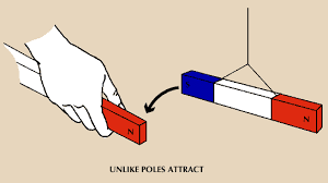 Image result for Pole Magnets