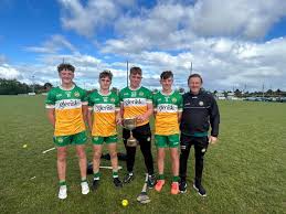 Image result for Shamrocks Hurling & Football Club