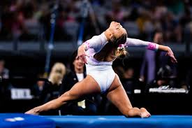 Image result for Abbey Fit Gymnastics