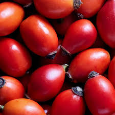 Attēlu rezultāti vaicājumam “Rosa subcanina fruit”