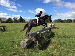Image result for Thames Valley Riding Club