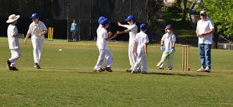 Image result for St Ives Cricket Club