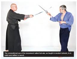 Image result for Sai Martial Arts