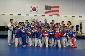 Image result for Parkgate Taekwondo Club