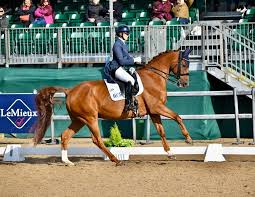 Image result for Interfreestyle Sport Karate