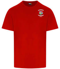 Image result for Cwmafan Football Club