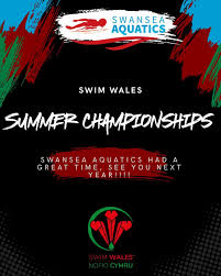 Image result for SwimSwansea